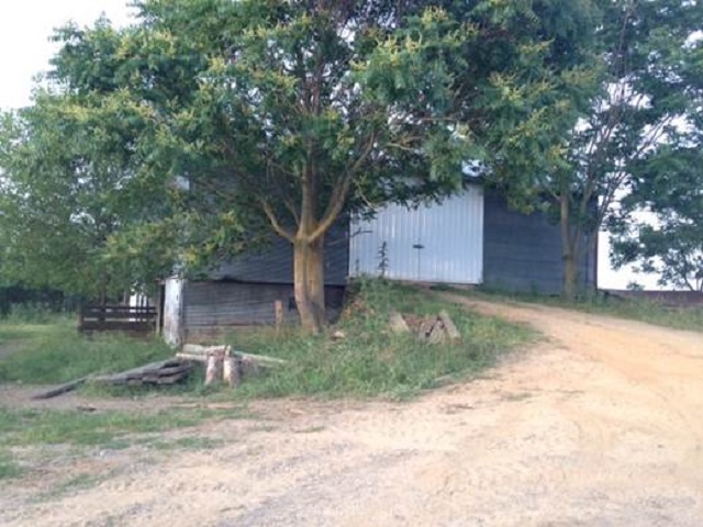 Tbd Dry Hollow Road Dayton, VA 22821 - Photo 4 of 10 a view of a yard with plants and a large tree