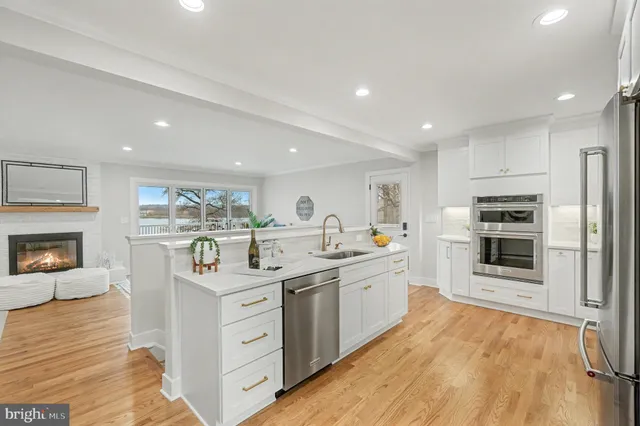 a kitchen with a potted plant on the counter and cabinets