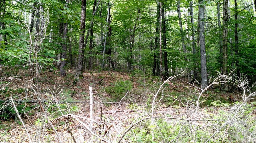 0 East Dixmont Road Monroe, ME 04951 - Photo 8 of 34 Photo