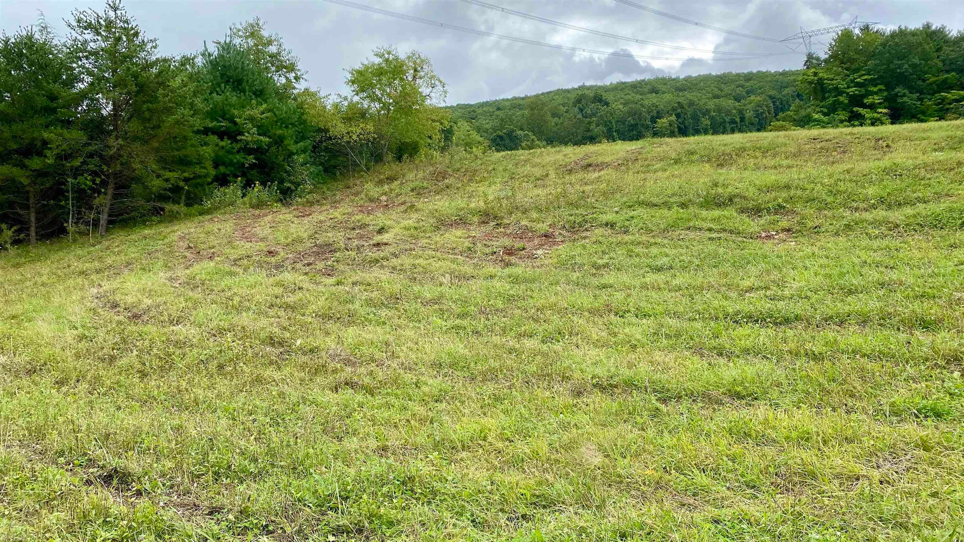 Tbd Castleton Road Max Meadows, VA 24360 - Photo 35 of 37 Gallery Image 35