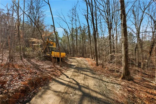 a bench is sitting in middle of the forest