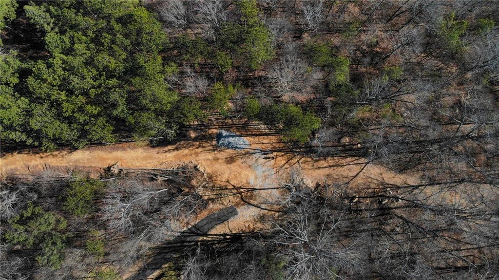5.785 Acres On Orlando Path Dallas, GA 30157 - Photo 6 of 17 a view of a forest with trees