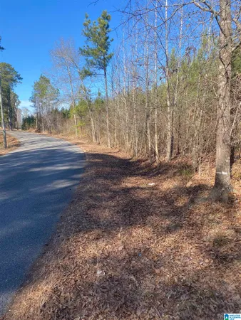 $185,000 | Center Hill Road, Locust Fork, AL 35097