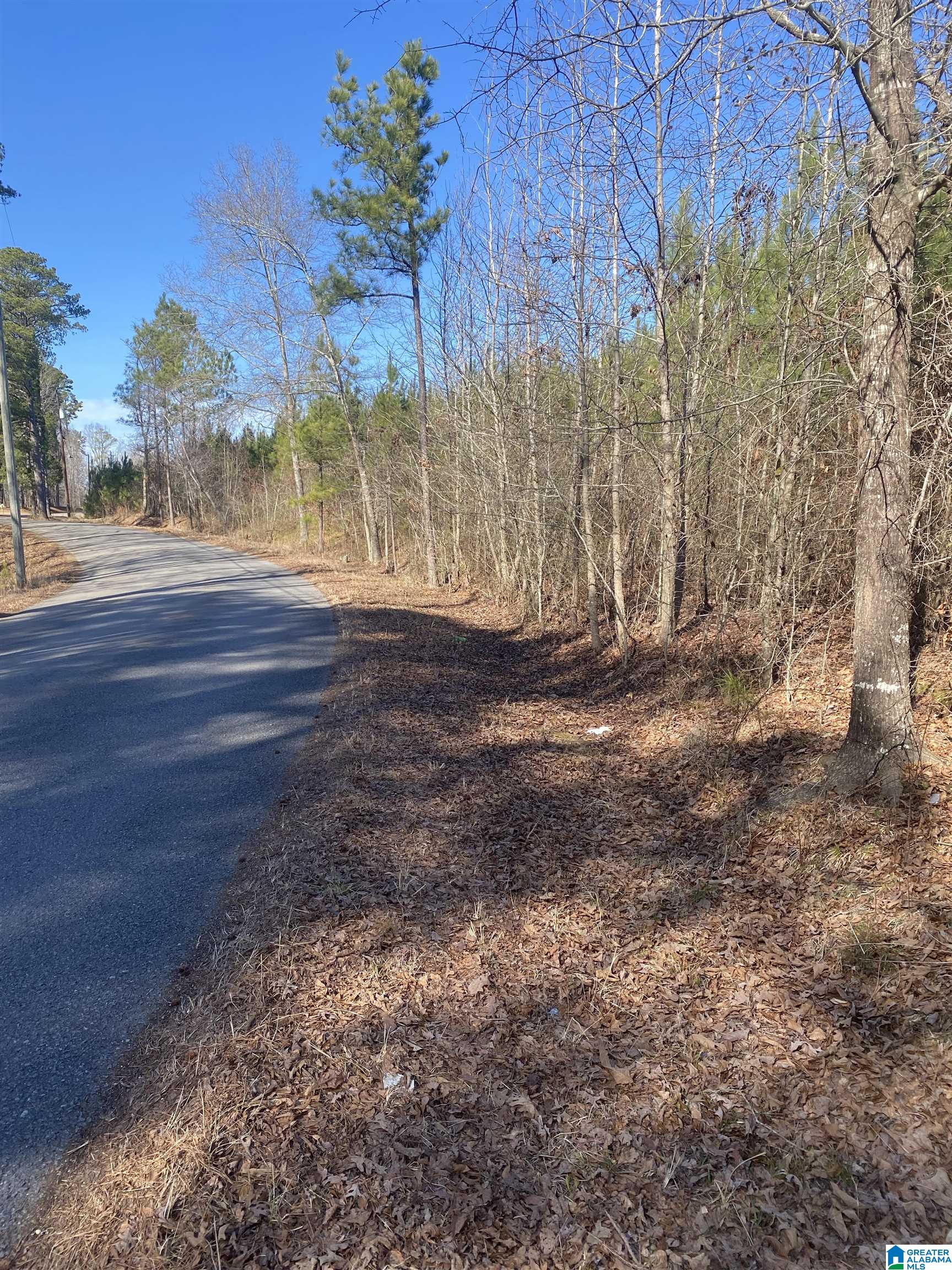 Center Hill Road Locust Fork, AL 35097 - Photo 1 of 3