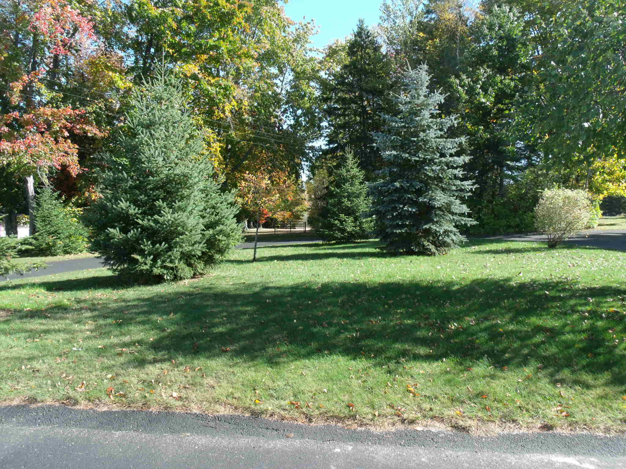 5210 Long Lake Road Cheboygan, MI 49721 - Photo 72 of 79 Gallery Image 72