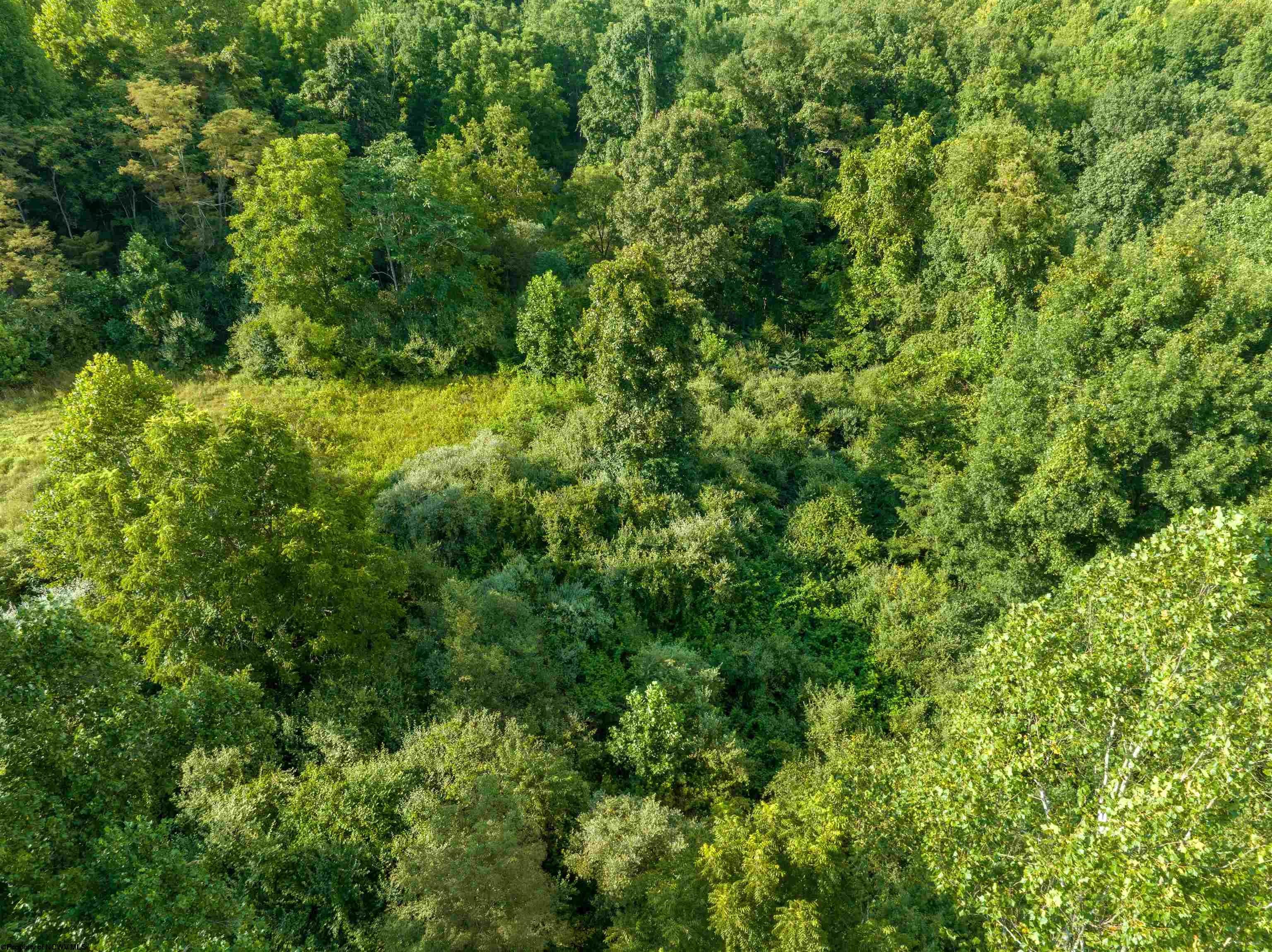 Tbd Green Valley Road Buckhannon, WV 26201 - Photo 25 of 49 Gallery Image 25