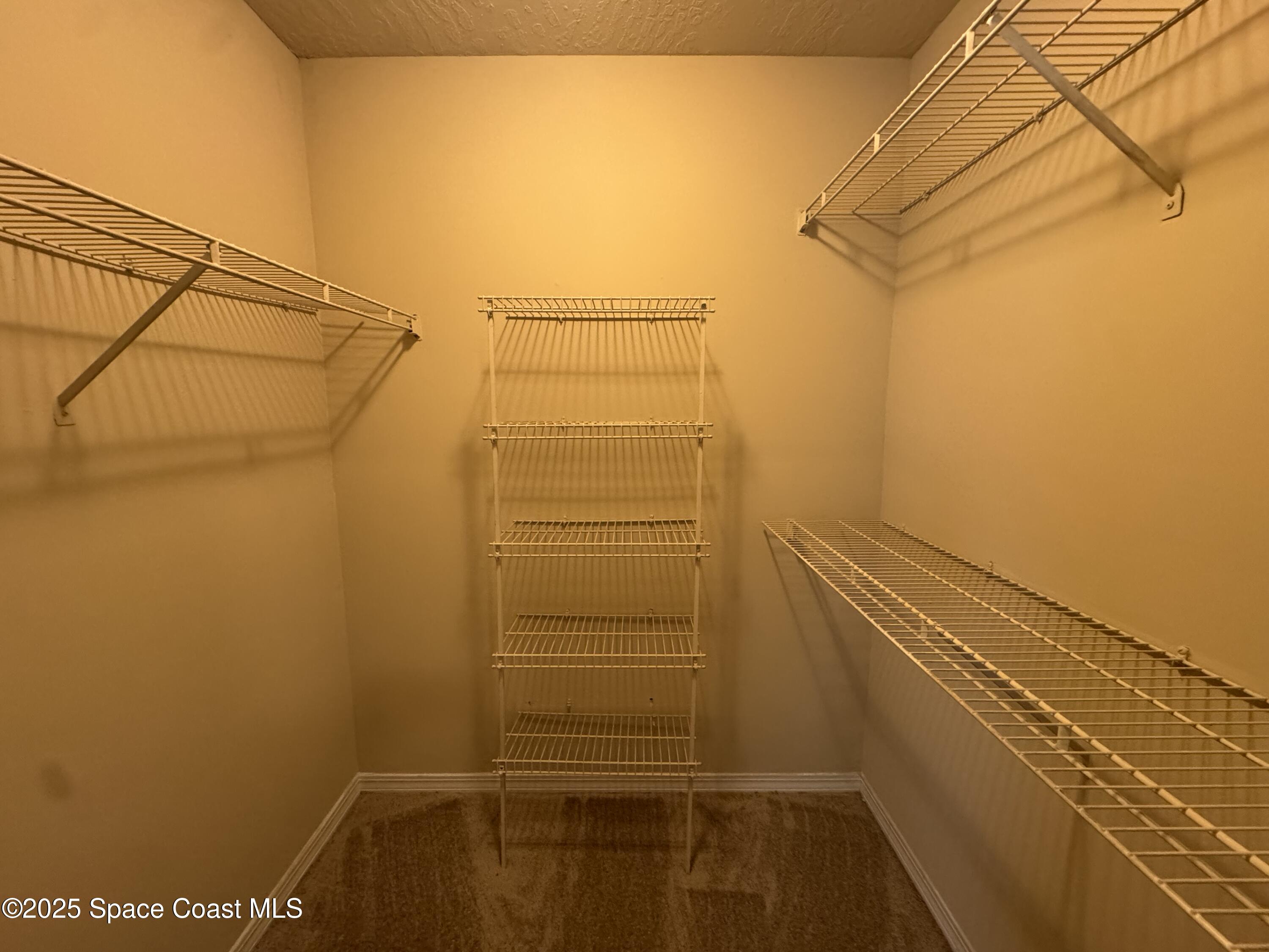 7667 North Wickham Road, Unit 1515 Melbourne, FL 32940 - Photo 8 of 34 Walk in closet