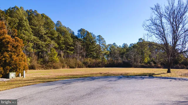 a view of swimming pool with trees in the background
