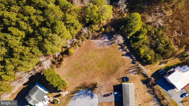 a view of a tree in a backyard of a house