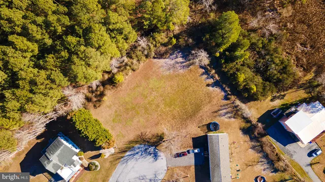 a view of a yard with plants