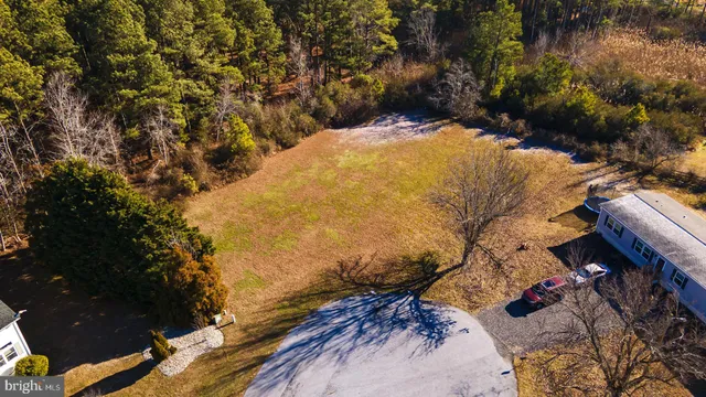 a view of a yard with plants