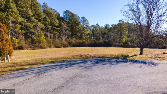 a view of a yard with trees
