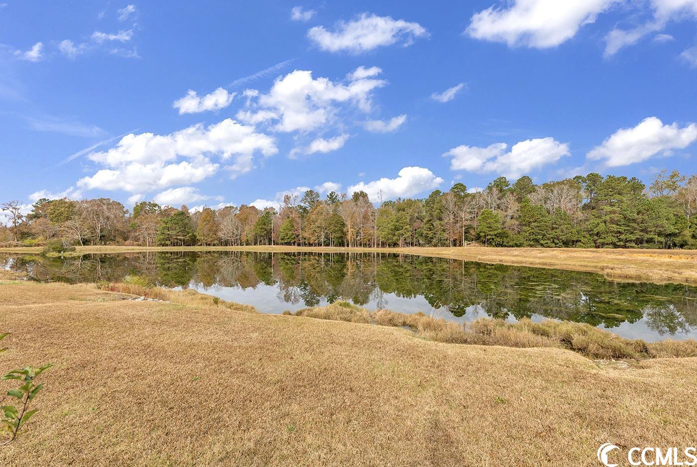 1237 Pine Ridge Street Conway, SC 29527 - Photo 40 of 40 Gallery Image 40