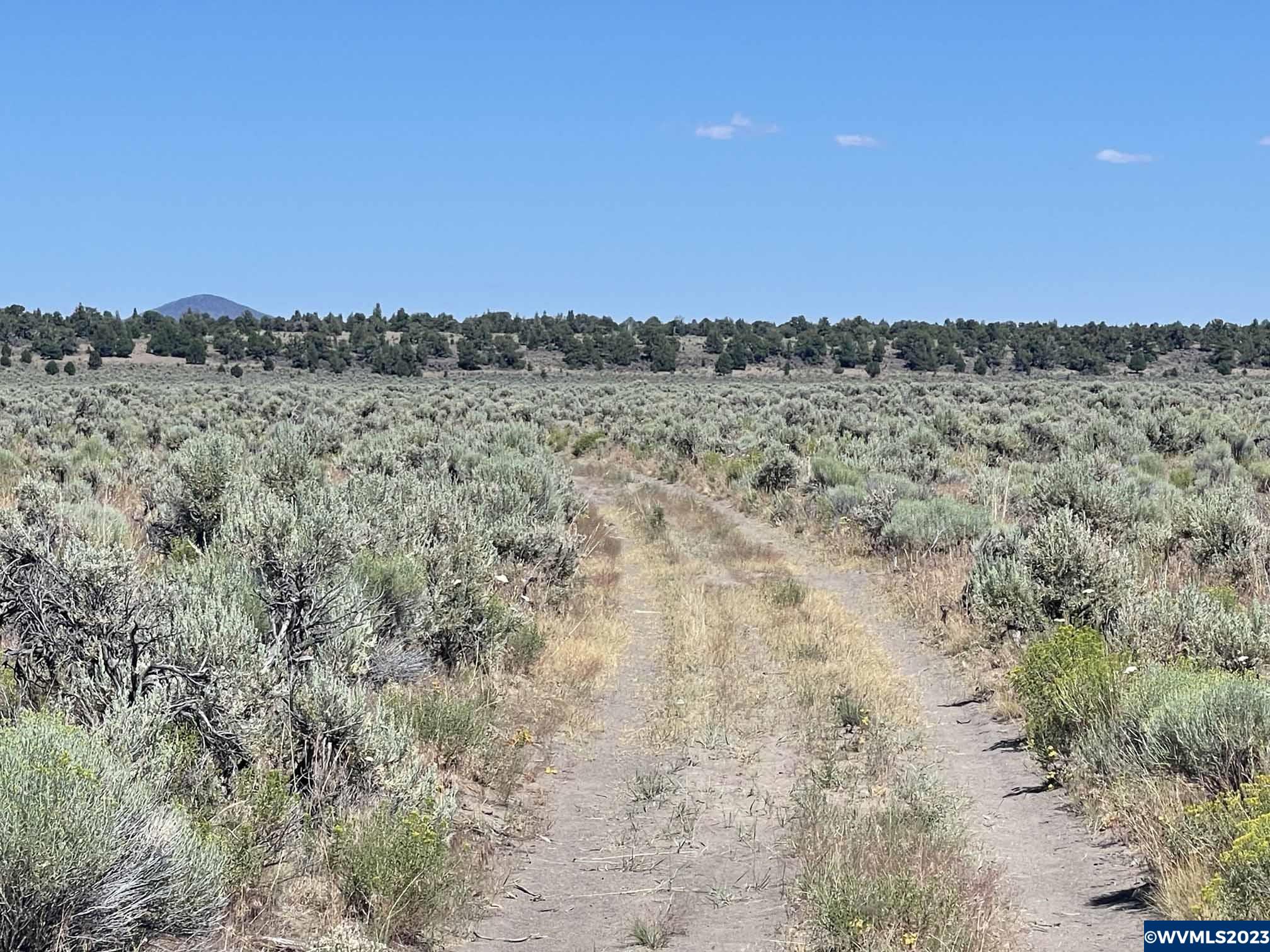 501 Browns Valley Road Christmas Valley, OR 97641 - Photo 1 of 31