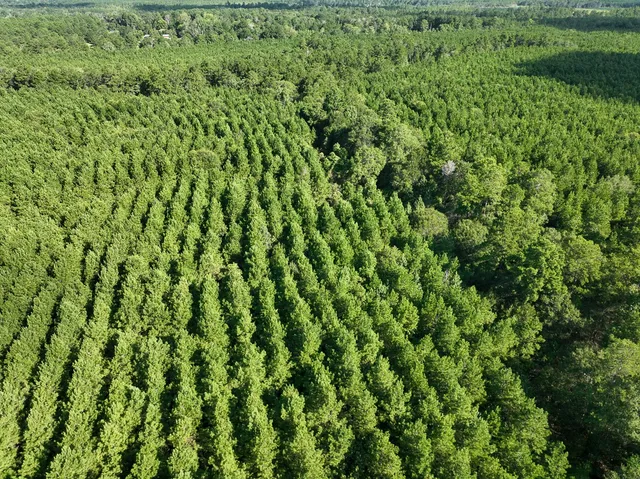 $77,000 | 6 Fm 1013 Cr, Kirbyville, TX 75956