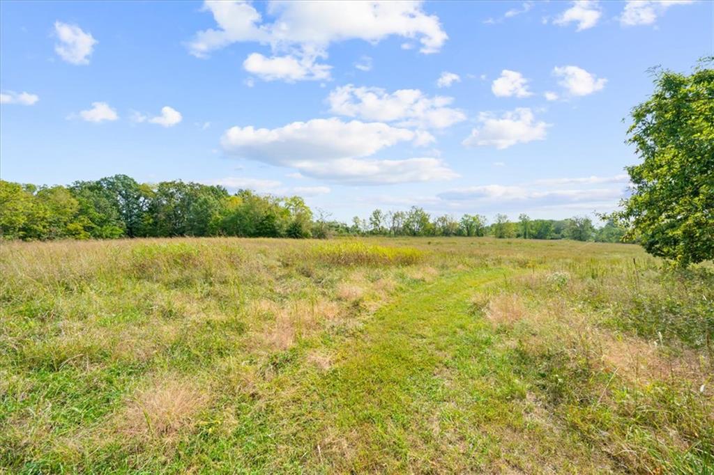 Tract 2 Northwest 550th Road Kingsville, MO 64061 - Photo 10 of 12 Gallery Image 10