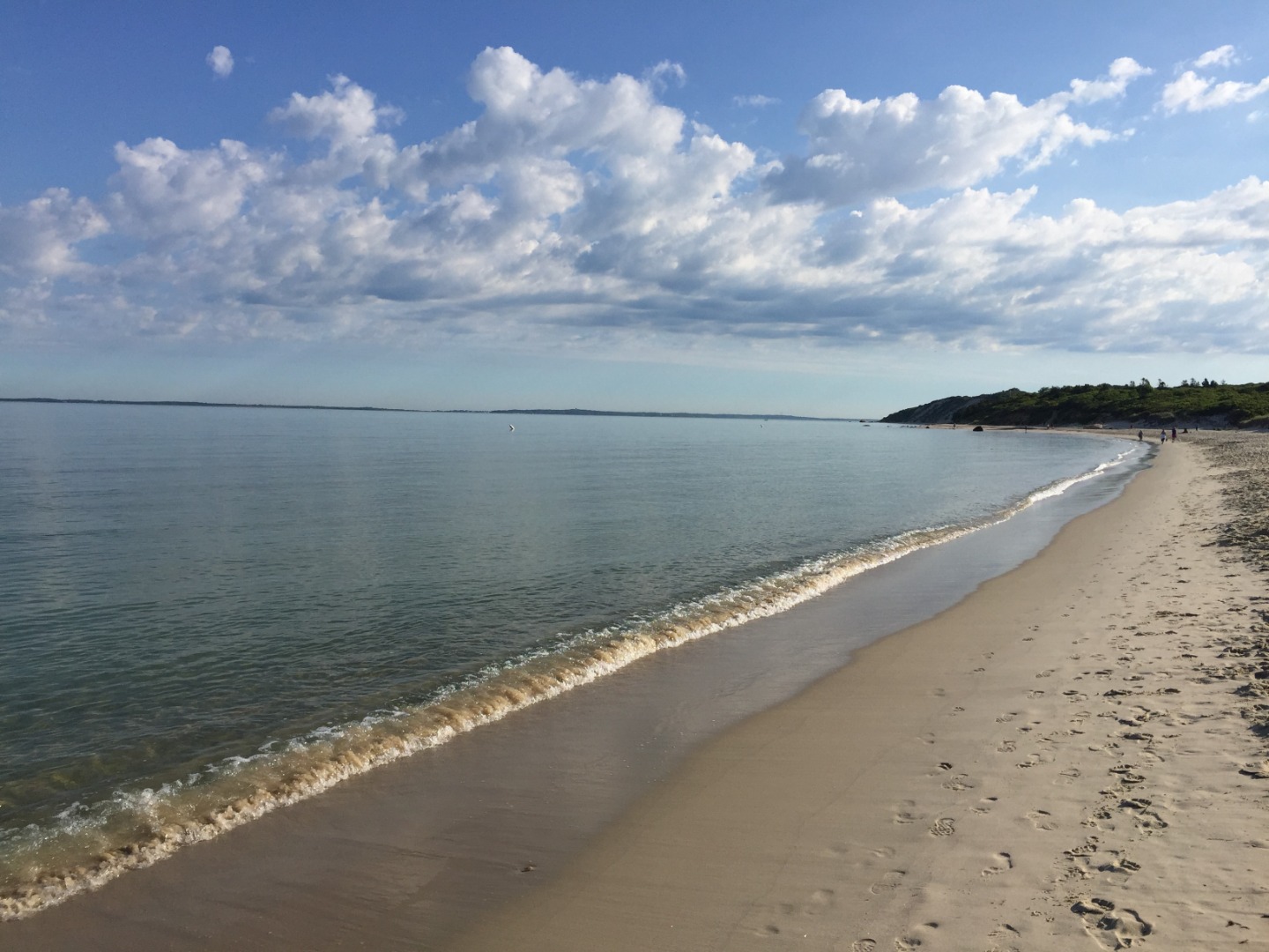 101 Longview Road West Tisbury, MA 02568 - Photo 27 of 45 Lamberts Cove Beach
