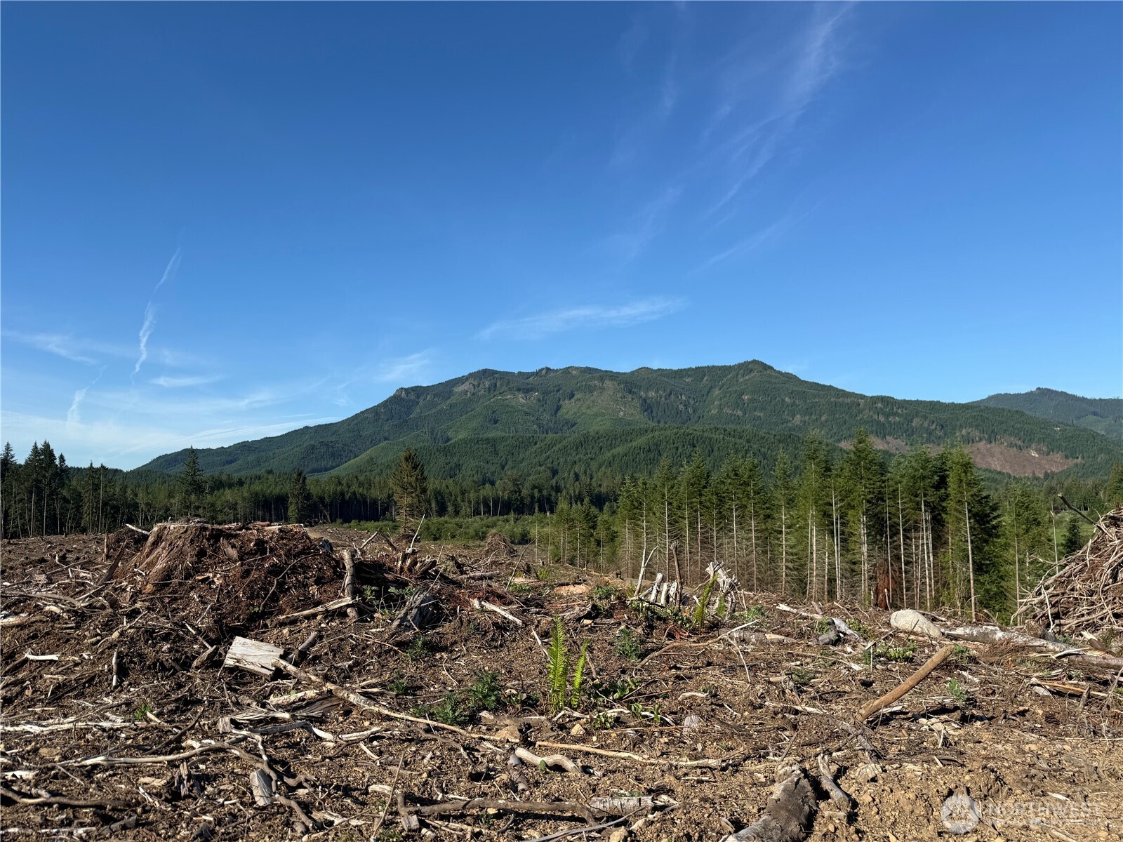215 Mineral Road North Mineral, WA 98355 - Photo 13 of 29