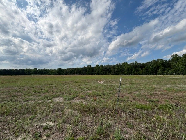 6880 Bloomville Road Manning, SC 29102 - Photo 17 of 29