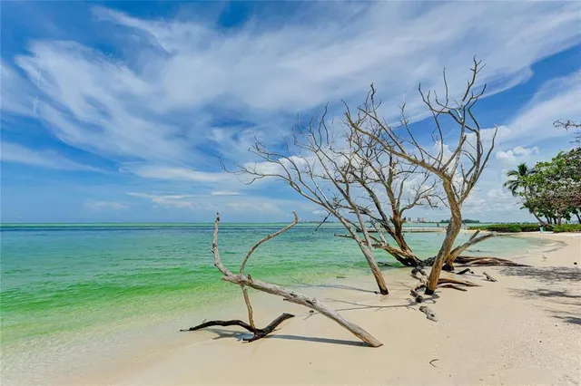 $3,500 | 11 Sandy Cove Road, Unit 8F, Sarasota, FL 34242