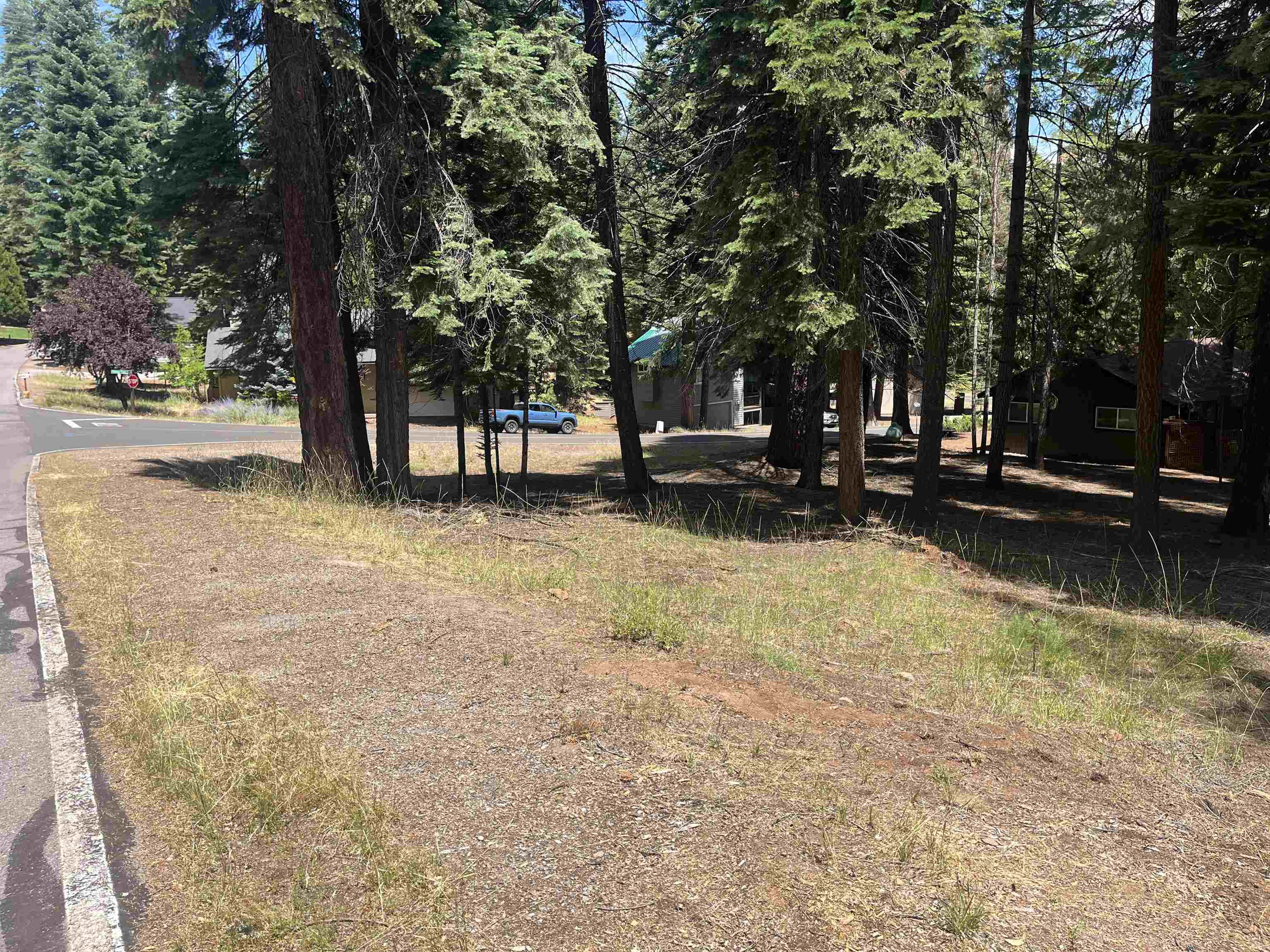 1160 Lake Ridge Road Lake Almanor, CA 96137 - Photo 6 of 9