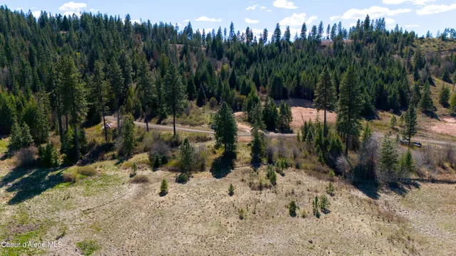 $139,999 | Lot 5 Lone Moose Drive, Plummer, ID 83851