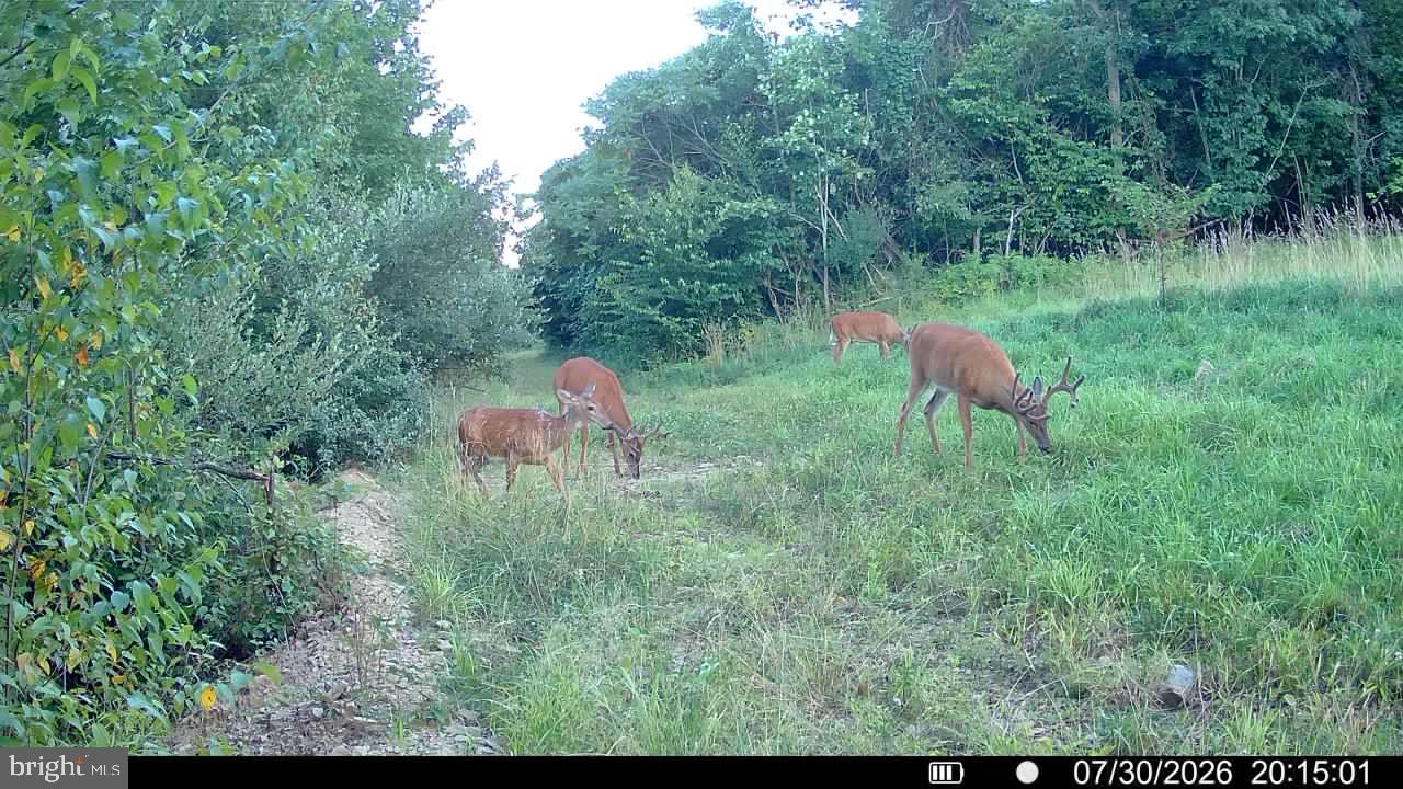 552 Wilson Road Parker, PA 16049 - Photo 31 of 60 Gallery Image 31