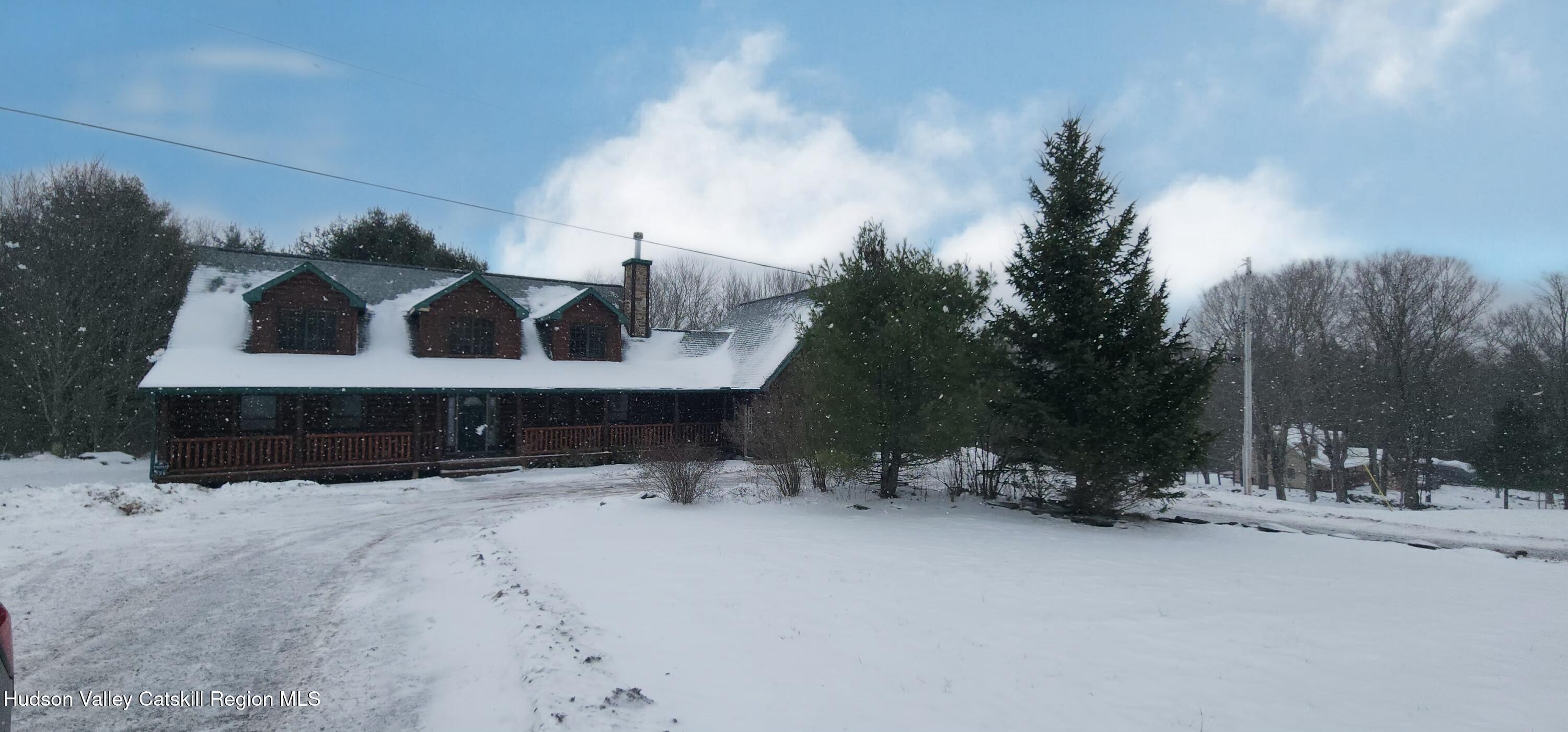 128 Steinmetz Road Ashland, NY 12496 - Photo 2 of 32 01KCCPX4VTYQY45GCP9Q1GHM9K