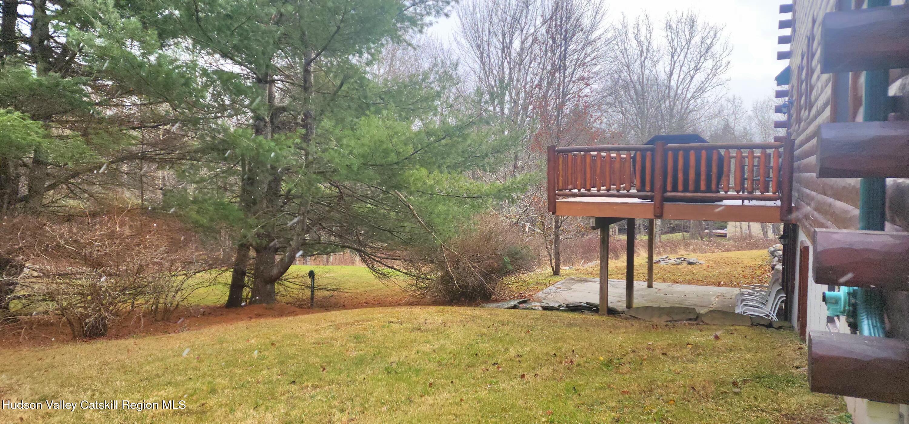 128 Steinmetz Road Ashland, NY 12496 - Photo 31 of 32 yard