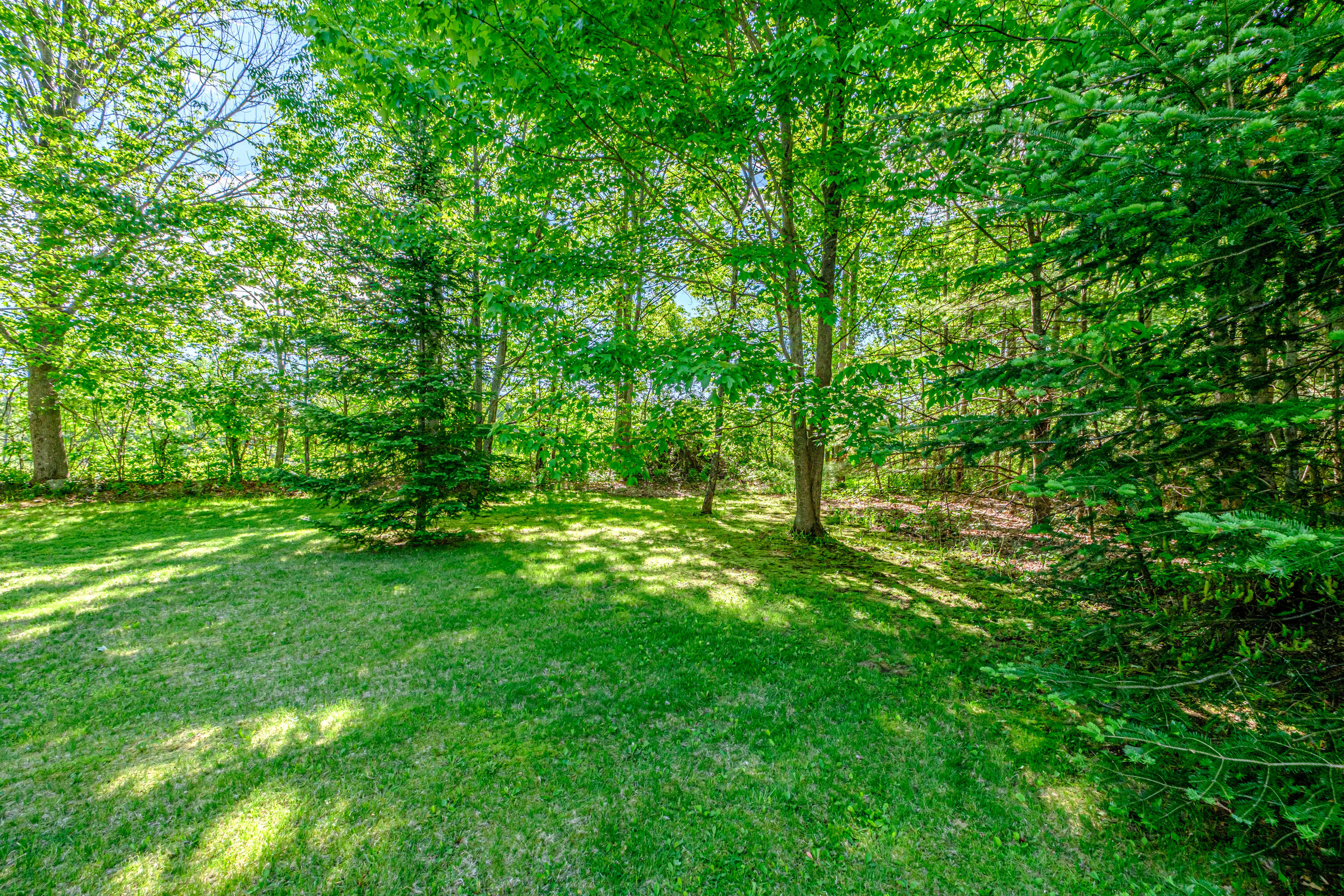 564 Maple Ridge Road Harrison, ME 04040 - Photo 66 of 73 20260603gp-60067