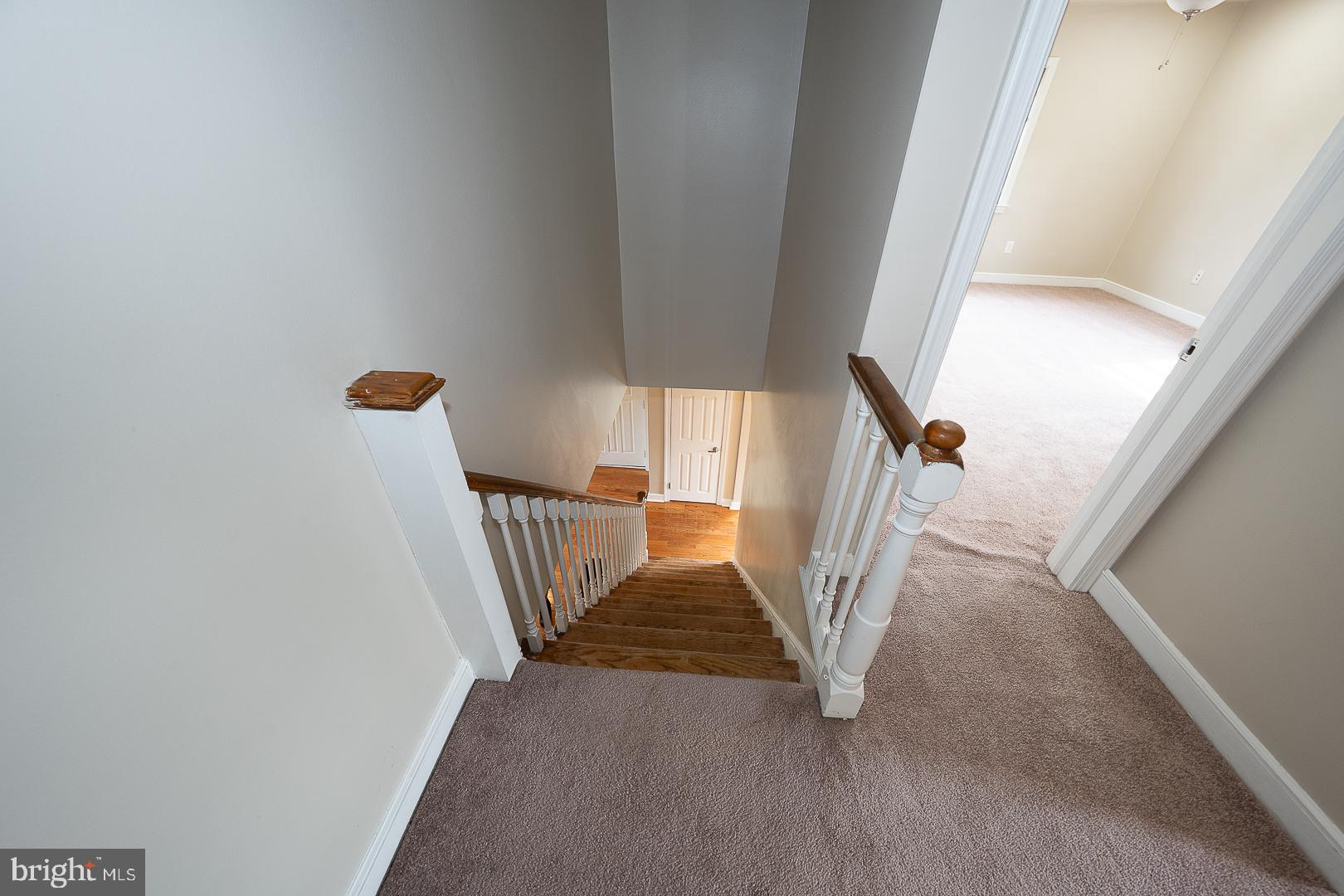 116 Andrea Road Cheltenham, PA 19012 - Photo 12 of 24 Gallery Image 12