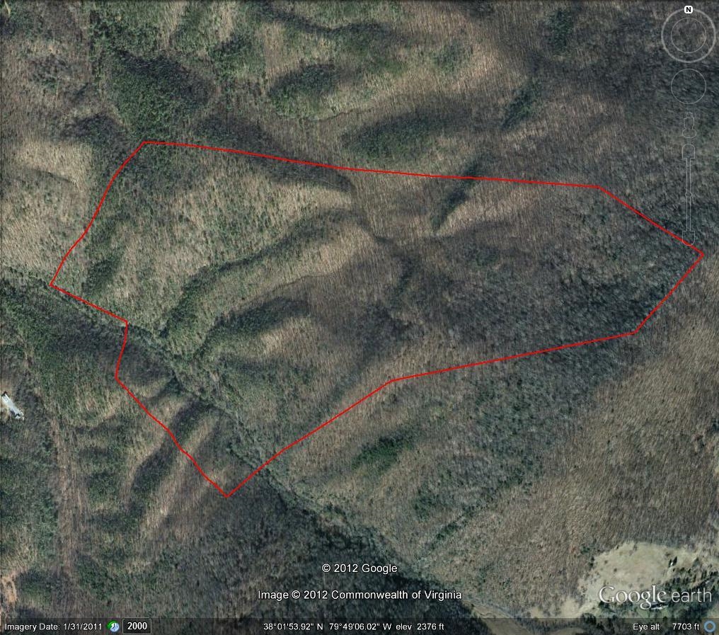 Tbd Dunns Gap Road Hot Springs, VA 24445 - Photo 2 of 13 a view of a forest