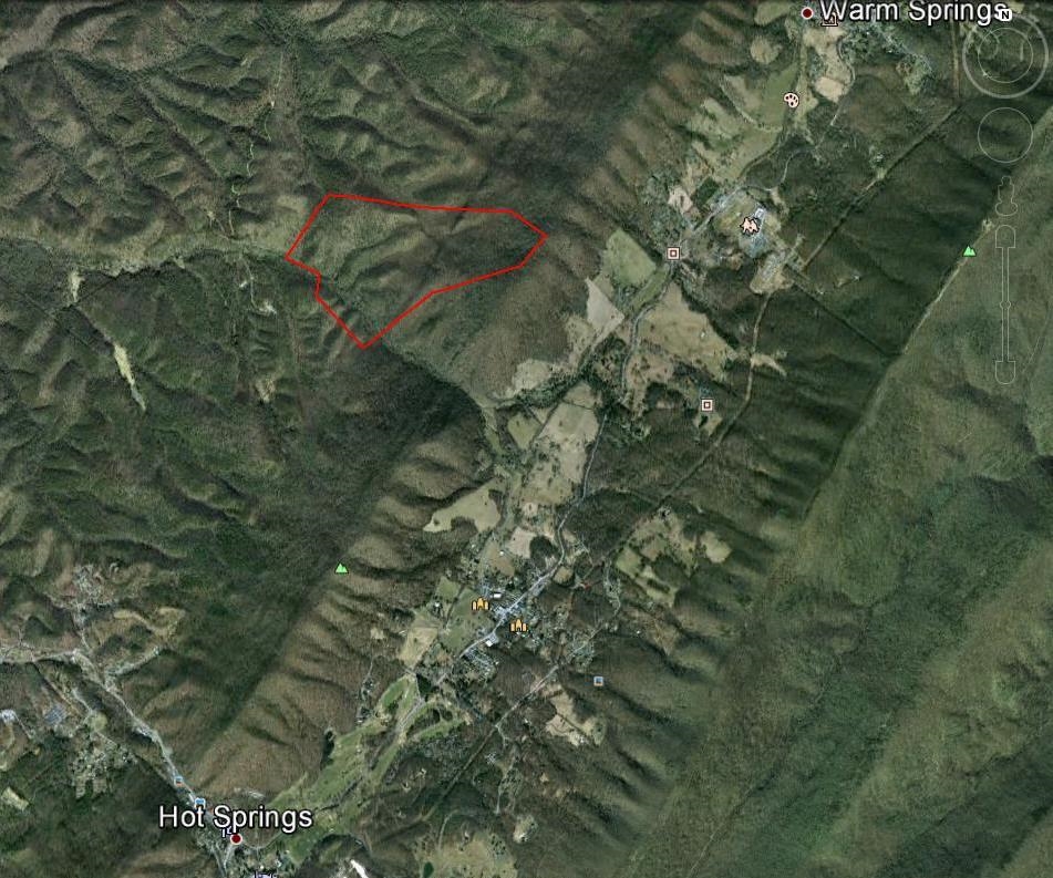 Tbd Dunns Gap Road Hot Springs, VA 24445 - Photo 3 of 13 a view of a forest