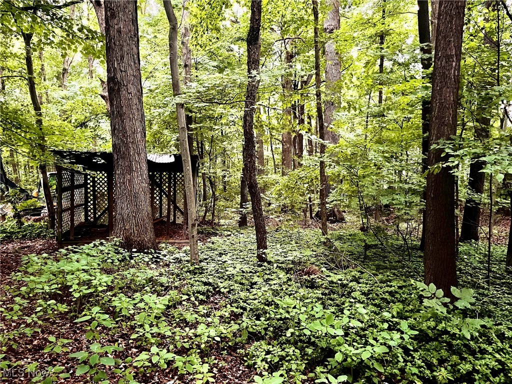 9435 Coit Road Mantua, OH 44255 - Photo 37 of 38 Private Wooded Acreage