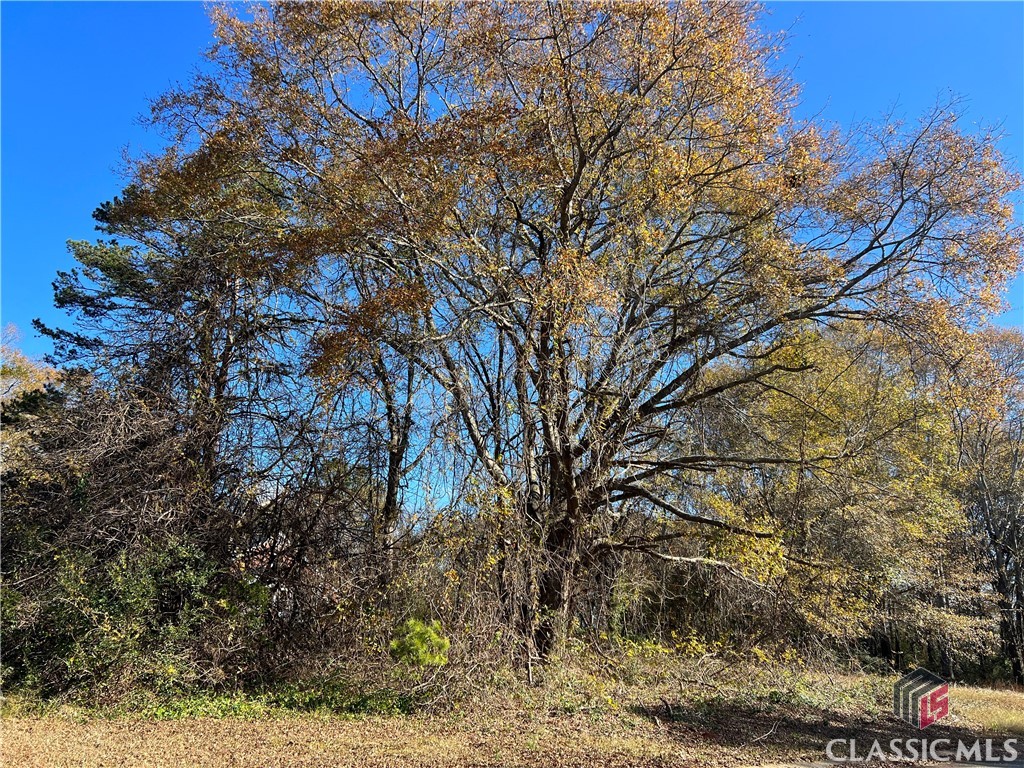 0 Robert Hardeman Road Winterville, GA 30683 - Photo 1 of 1 Gallery Image 1