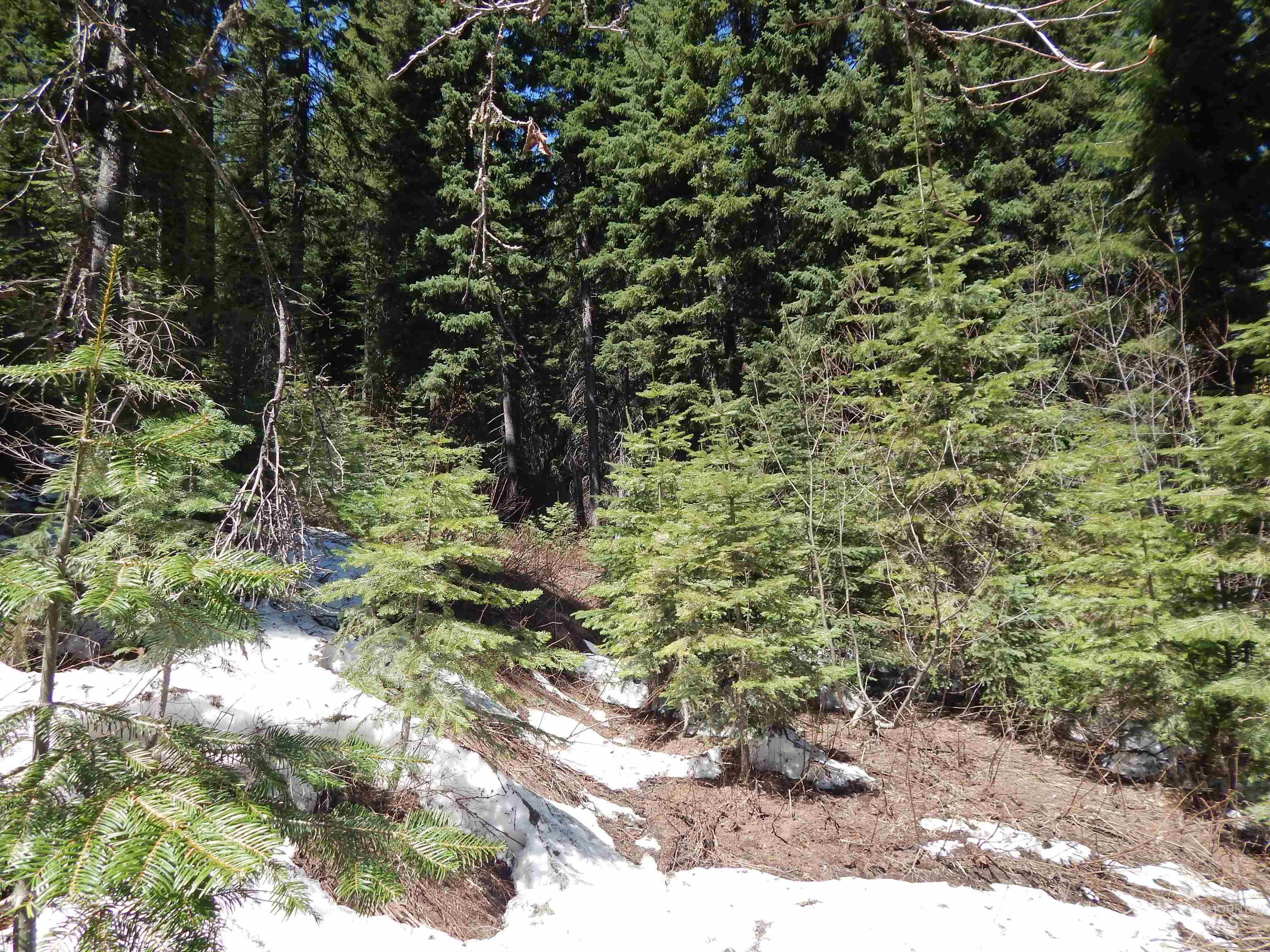 1601 Bear Trail Loop Cascade, ID 83611 - Photo 19 of 26
