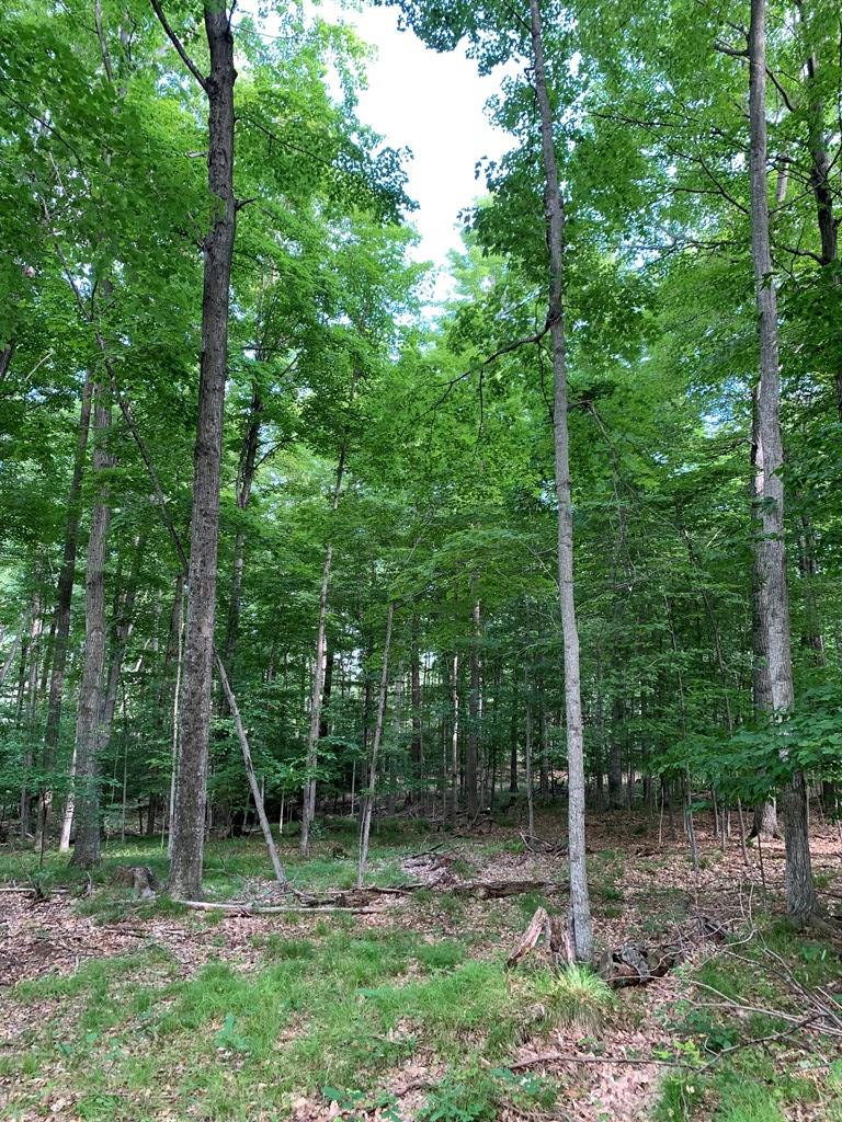 Tbd Lost Lake Road Egg Harbor, WI 54209 - Photo 16 of 29