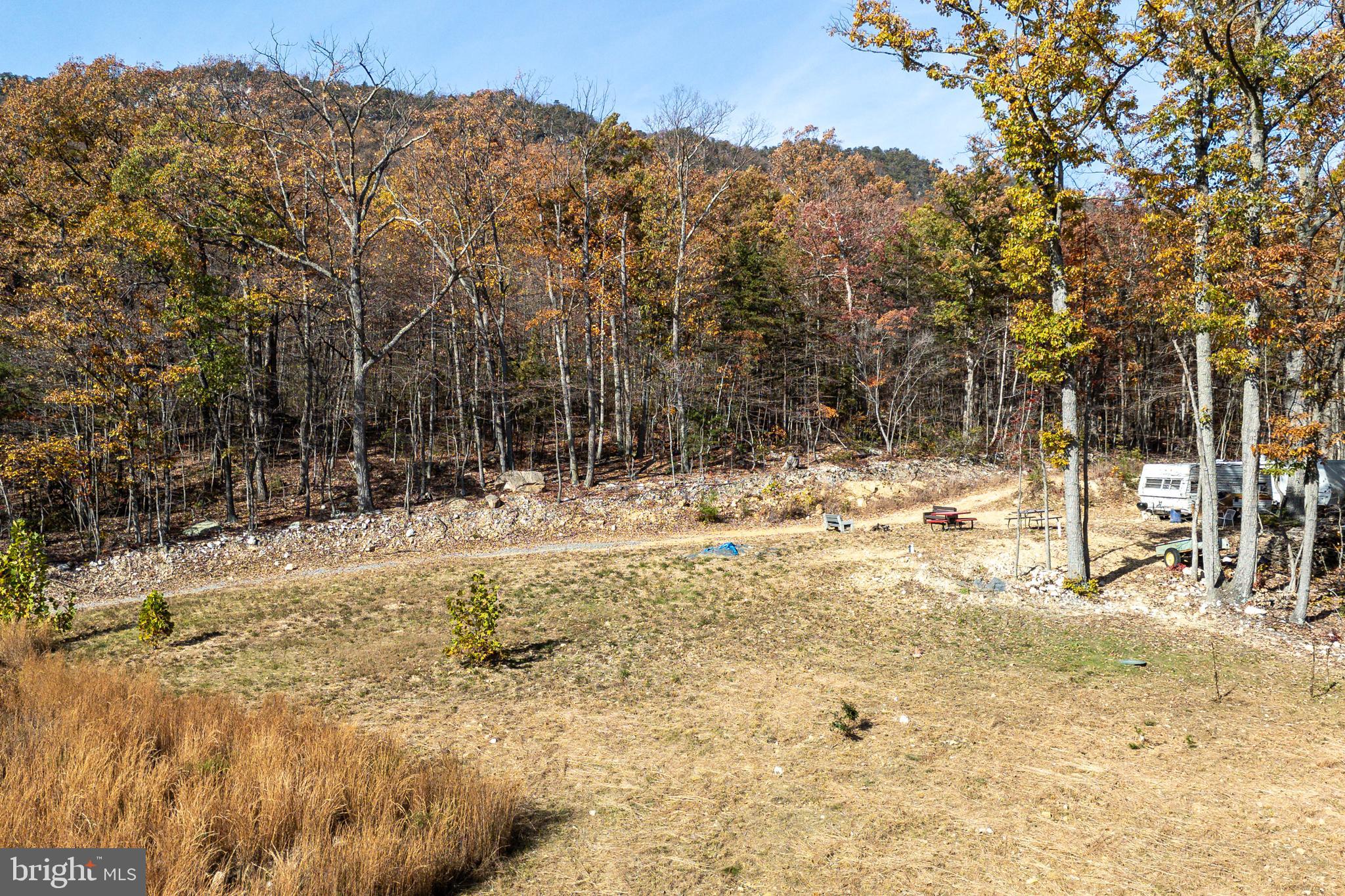 0 Moreland Gap Road Mount Jackson, VA 22842 - Photo 4 of 37