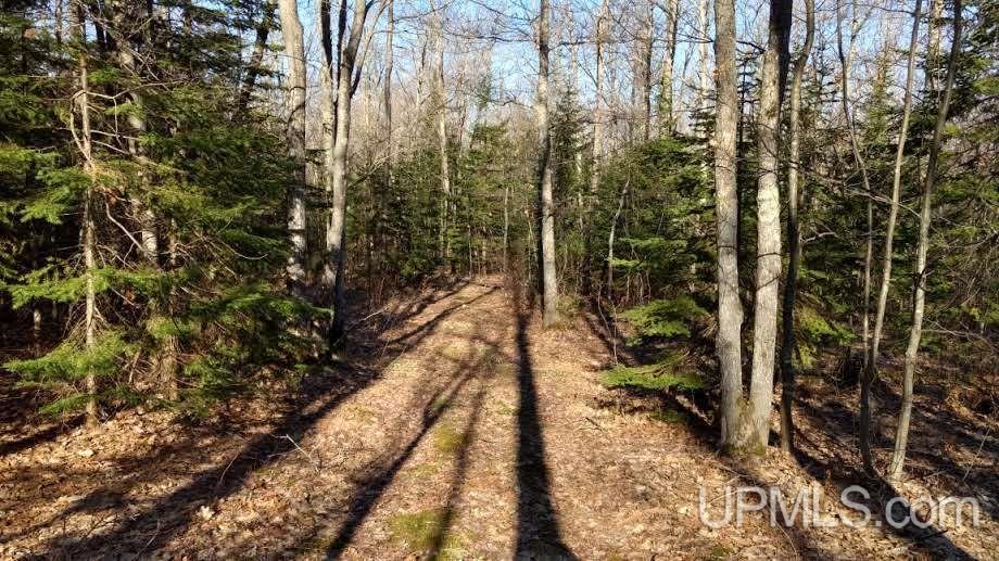 Tbd North Superior Road Atlantic Mine, MI 49905 - Photo 1 of 14 Gallery Image 1