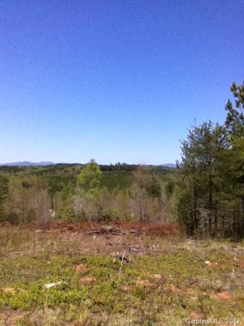 Lot 22 Spur Alley Rutherfordton, NC 28139 - Photo 2 of 13 Gallery Image 2
