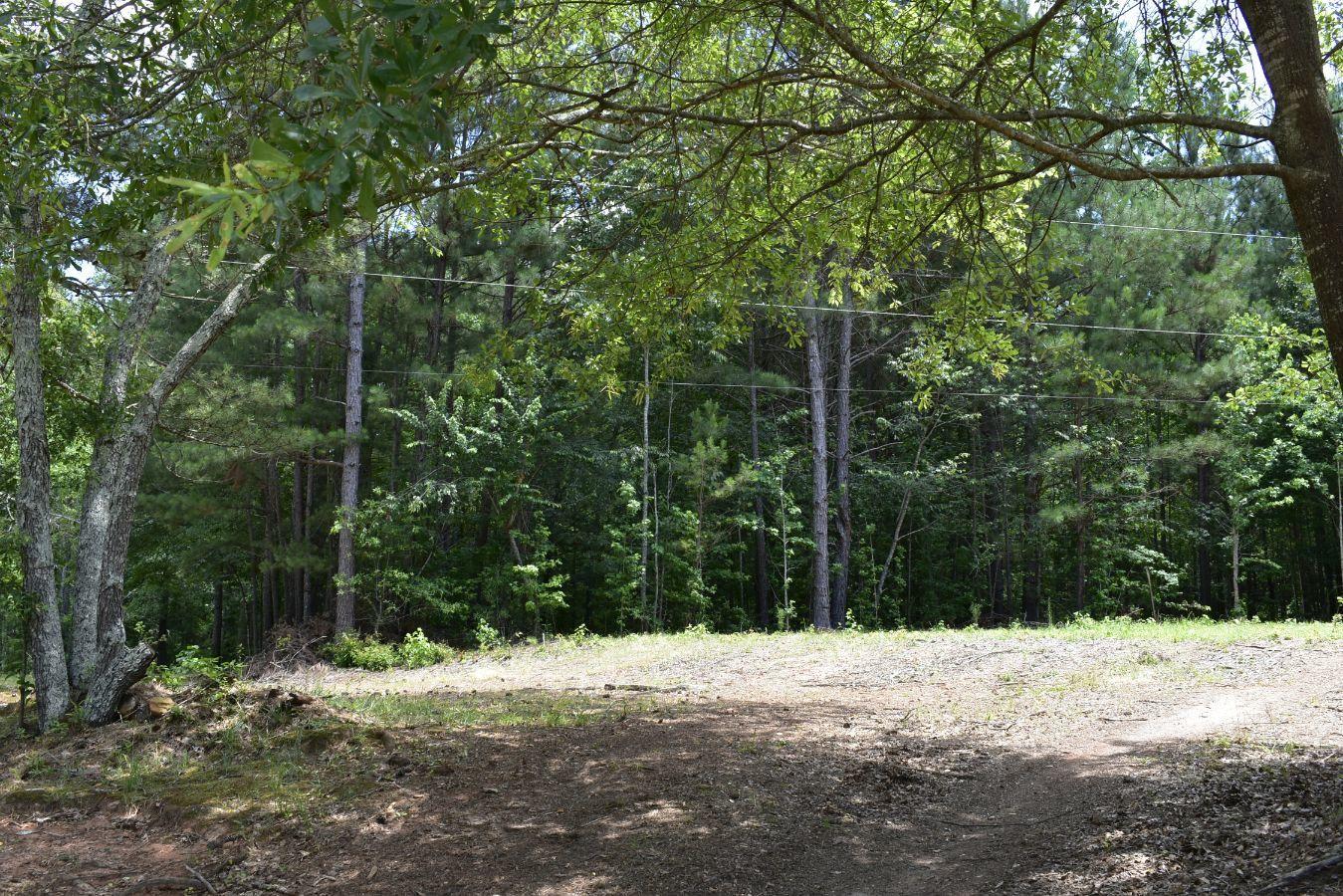 307 Lavista Road Jefferson, GA 30549 - Photo 13 of 83 _DSC0070