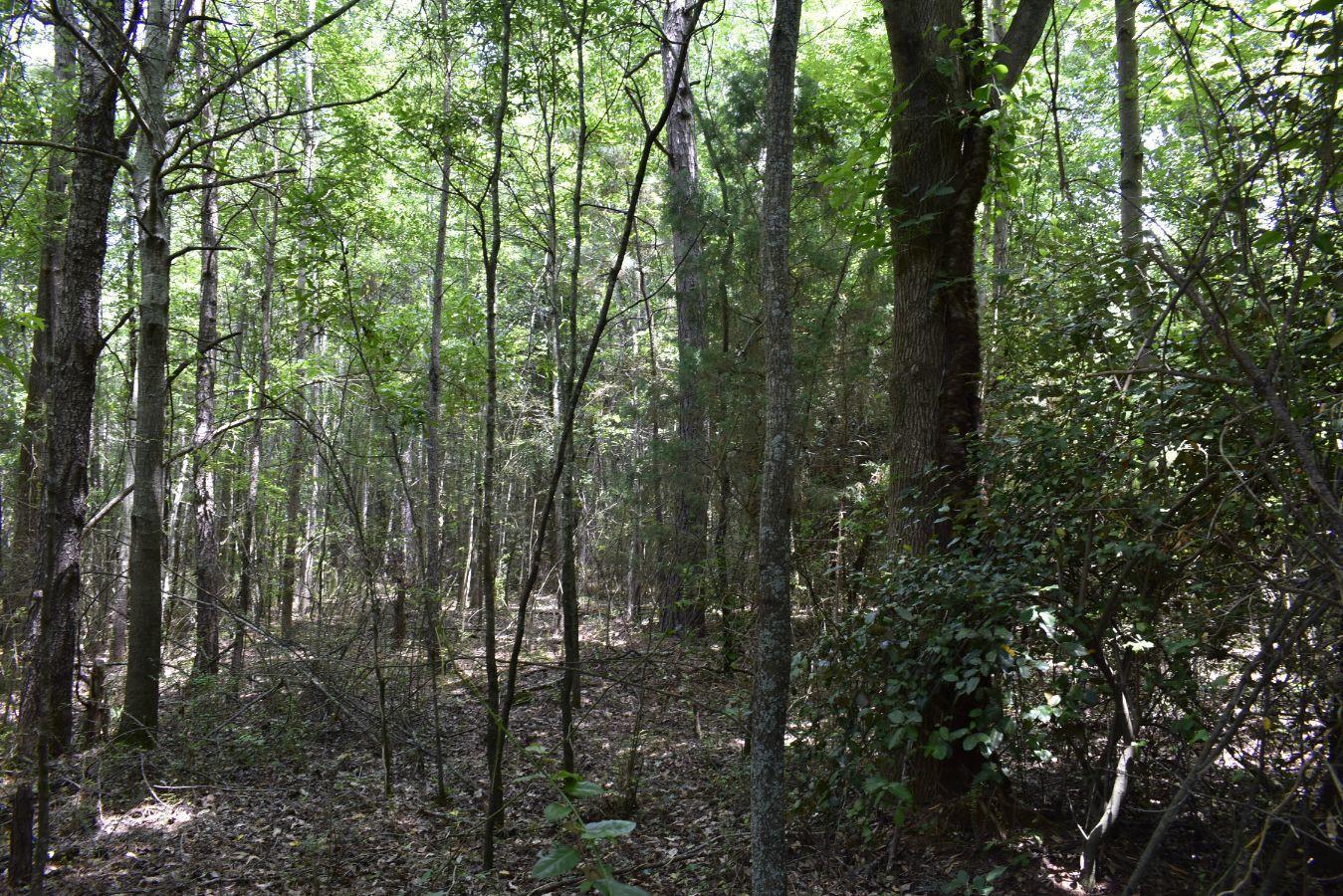 307 Lavista Road Jefferson, GA 30549 - Photo 14 of 83 _DSC0071