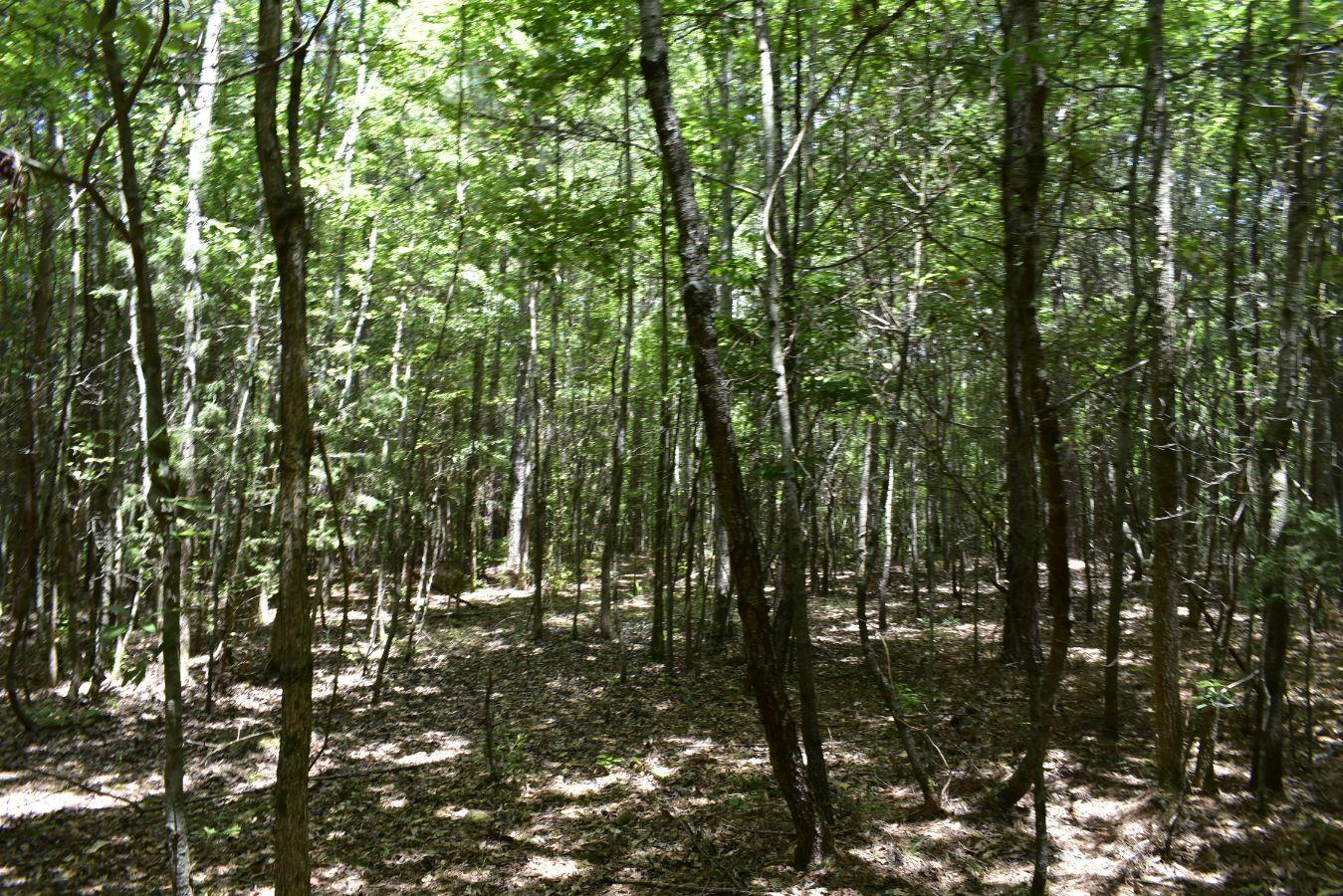 307 Lavista Road Jefferson, GA 30549 - Photo 17 of 83 _DSC0075