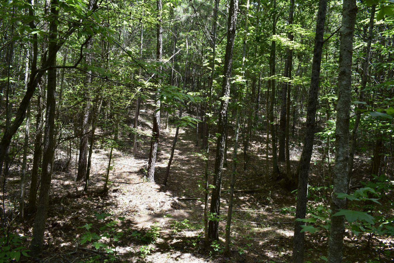 307 Lavista Road Jefferson, GA 30549 - Photo 24 of 83 _DSC0082