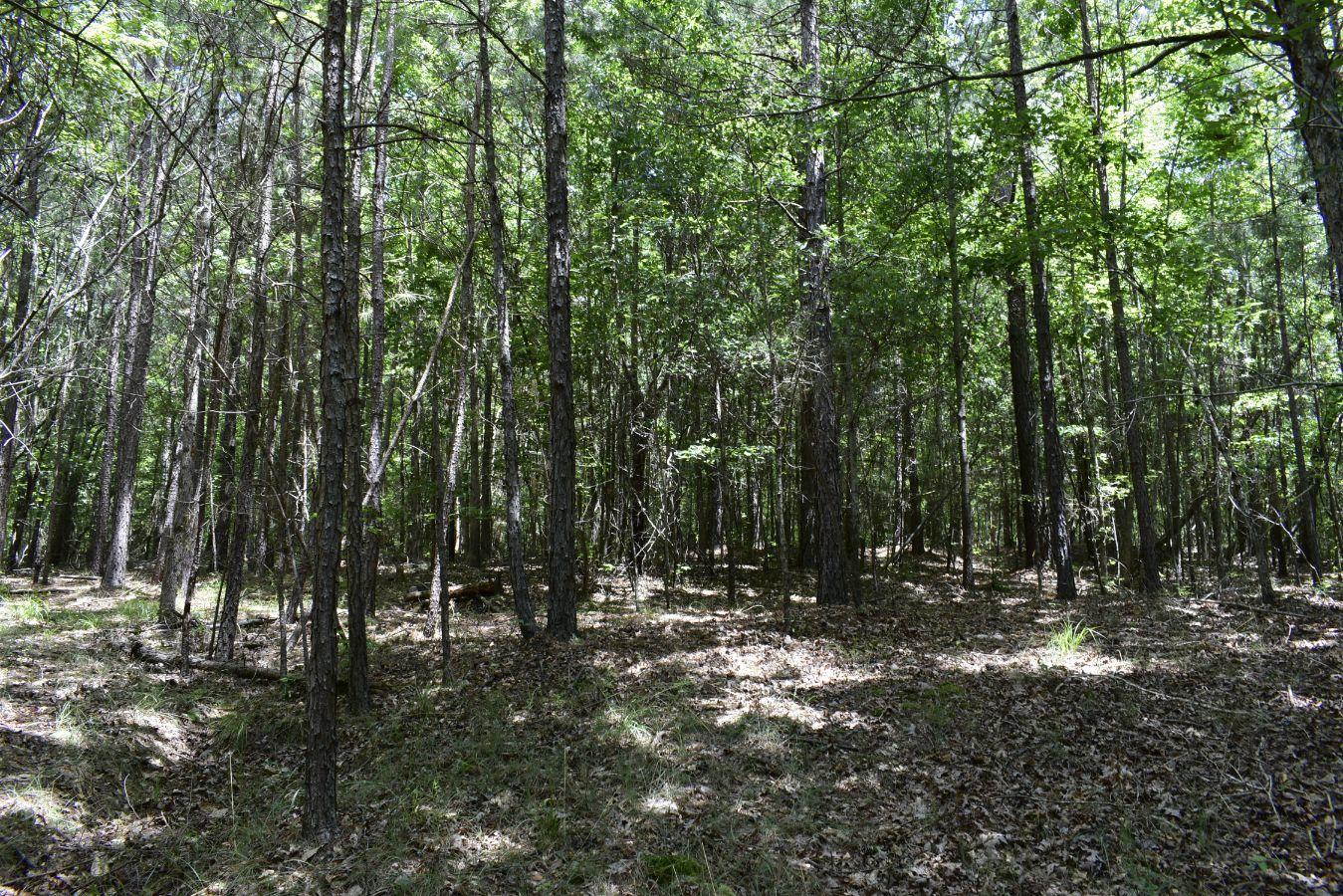 307 Lavista Road Jefferson, GA 30549 - Photo 29 of 83 _DSC0087
