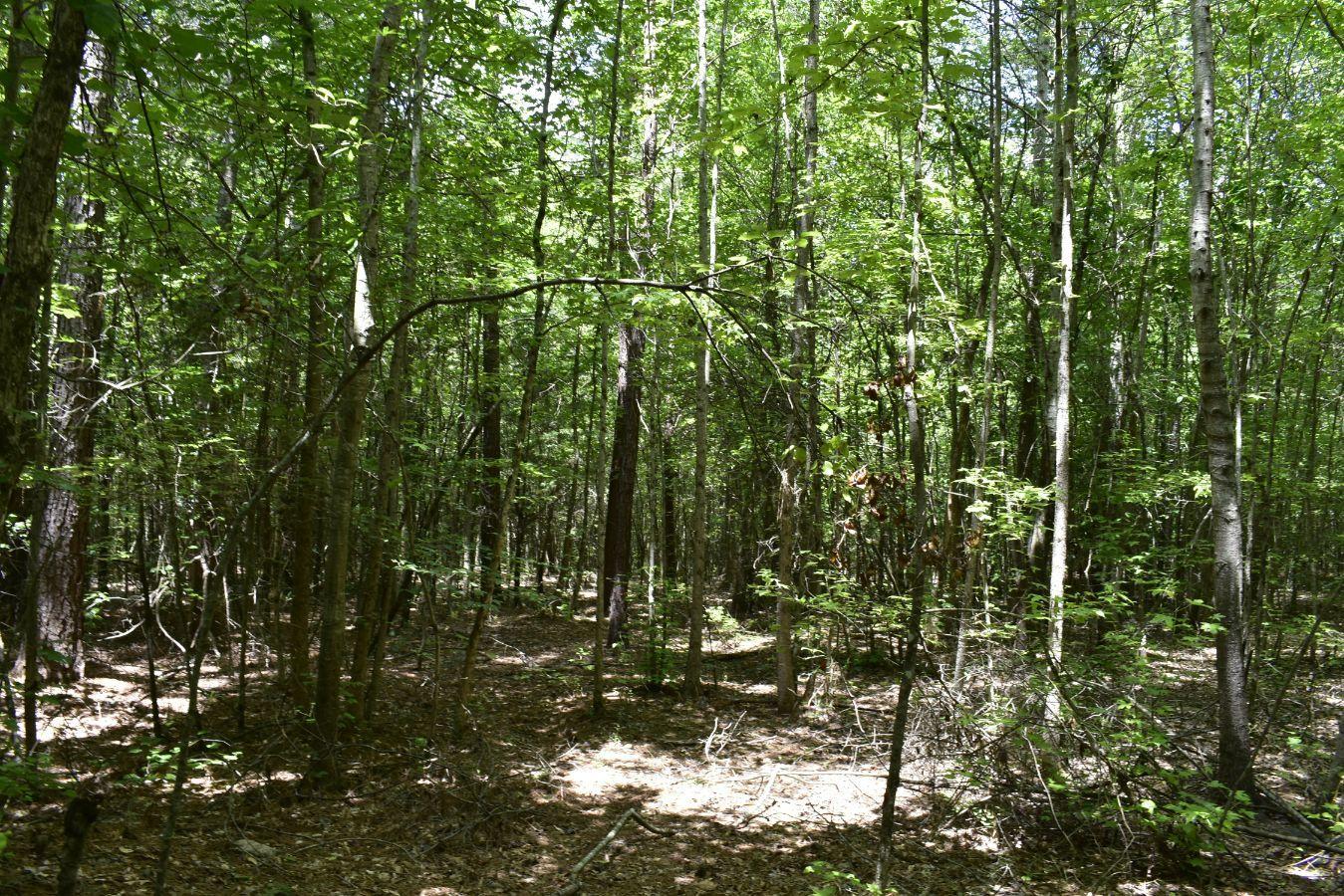 307 Lavista Road Jefferson, GA 30549 - Photo 36 of 83 _DSC0094