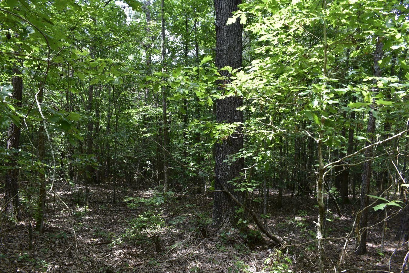 307 Lavista Road Jefferson, GA 30549 - Photo 40 of 83 _DSC0098