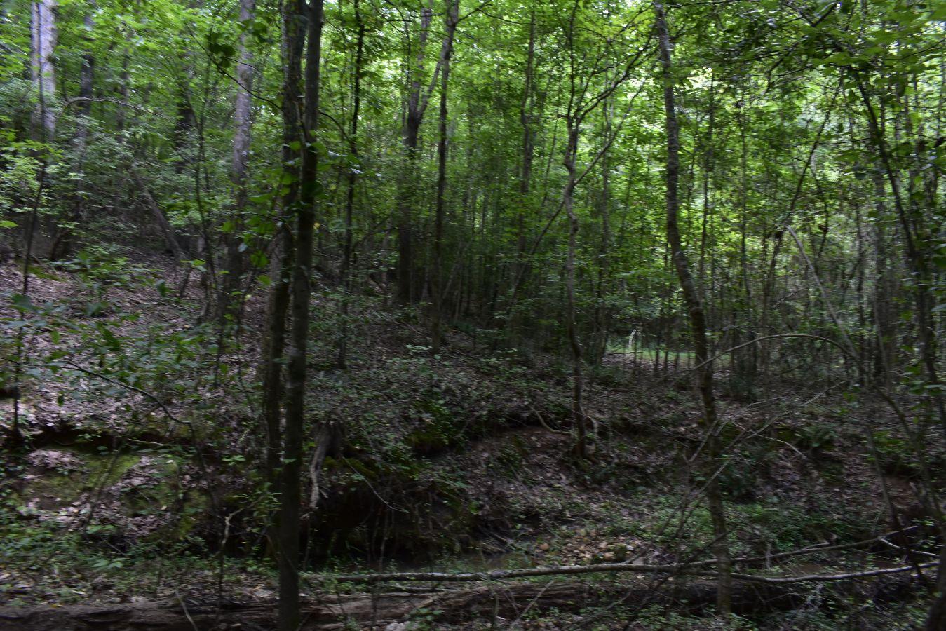 307 Lavista Road Jefferson, GA 30549 - Photo 58 of 83 _DSC0119