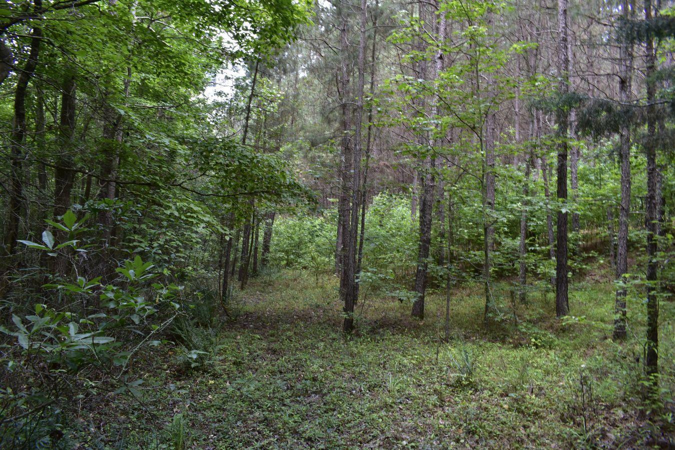 307 Lavista Road Jefferson, GA 30549 - Photo 60 of 83 _DSC0122