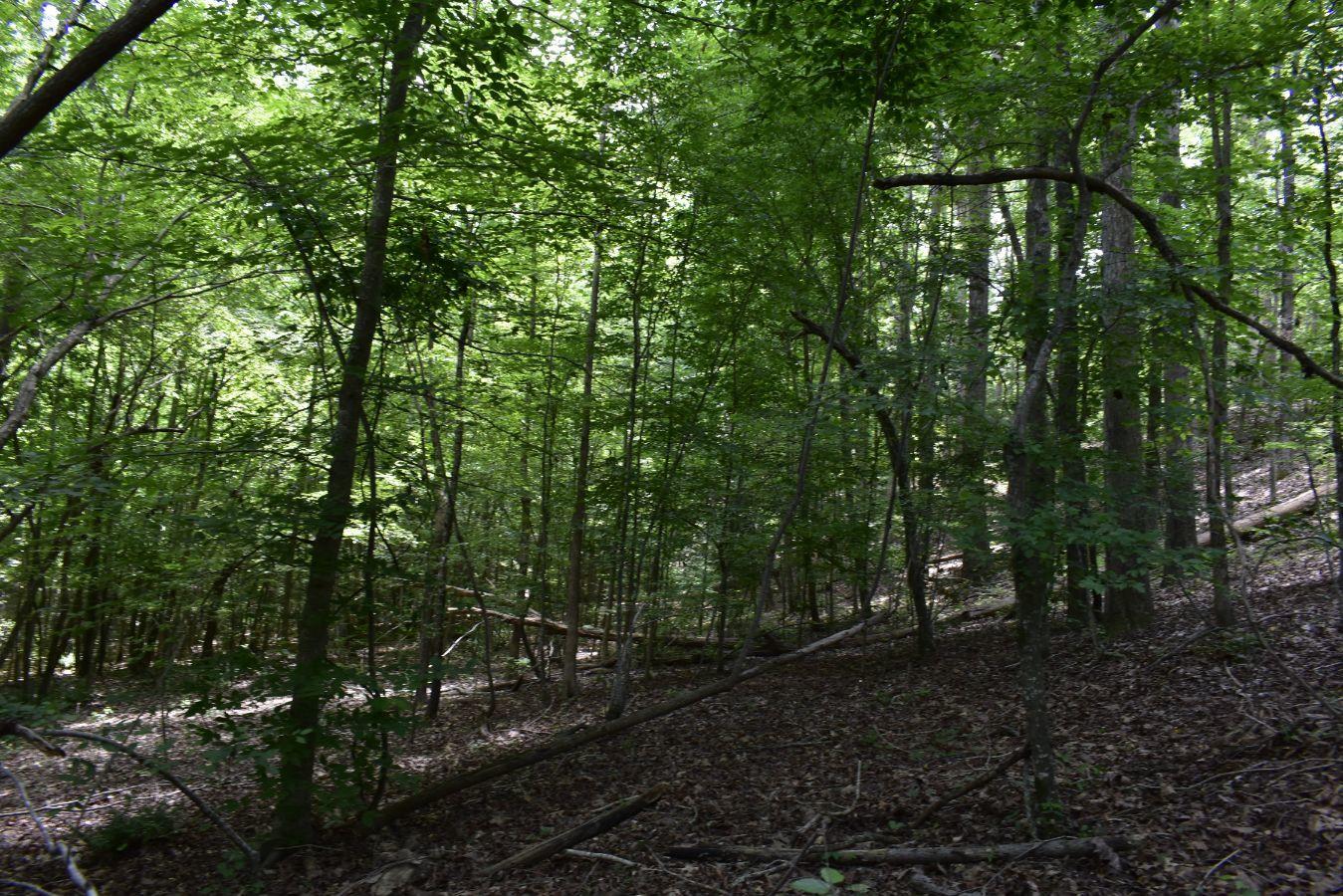 307 Lavista Road Jefferson, GA 30549 - Photo 71 of 83 _DSC0135